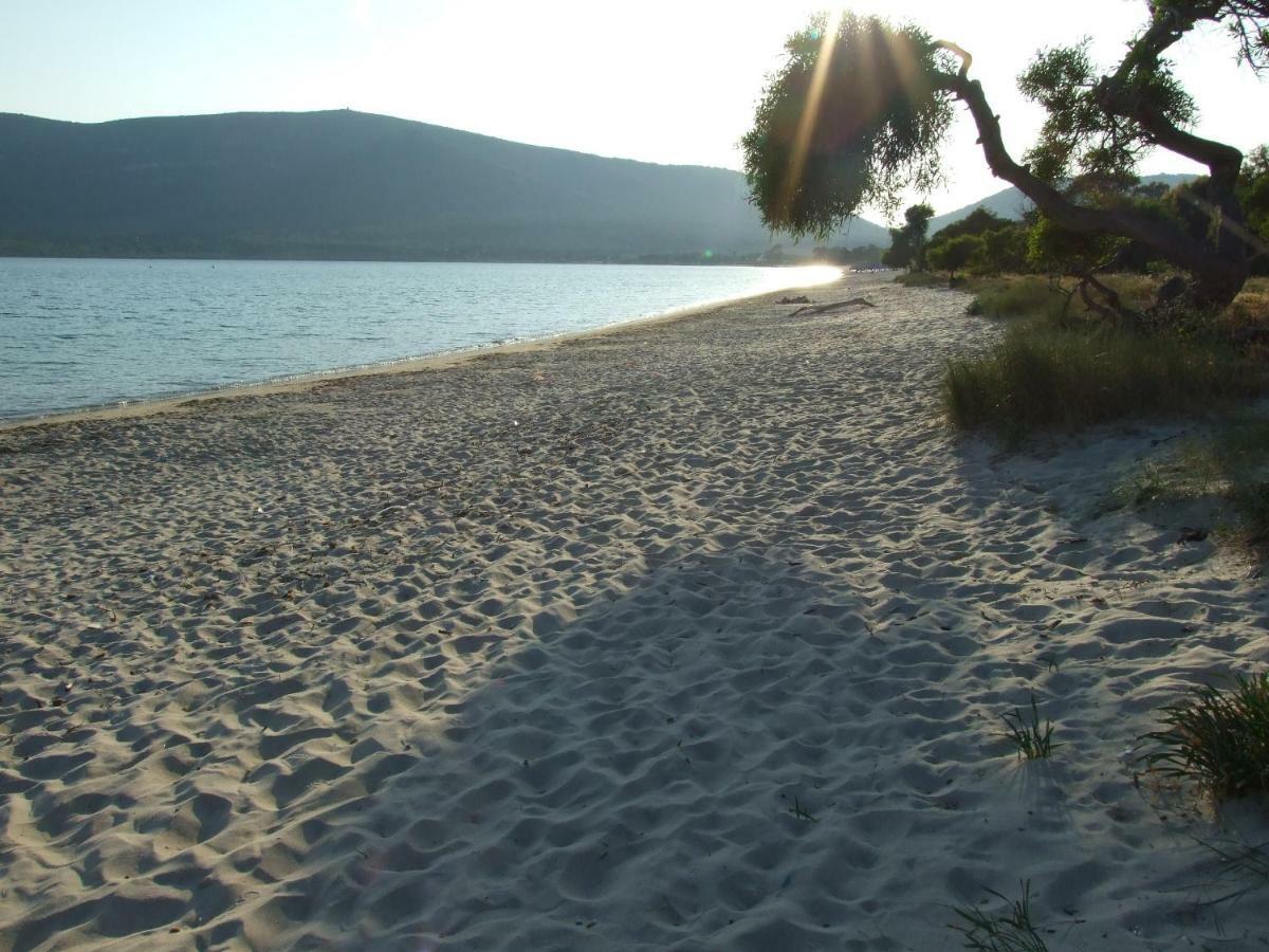 Agriturismo Corallo ซานตา มาเรีย ลา ปาลมา ภายนอก รูปภาพ